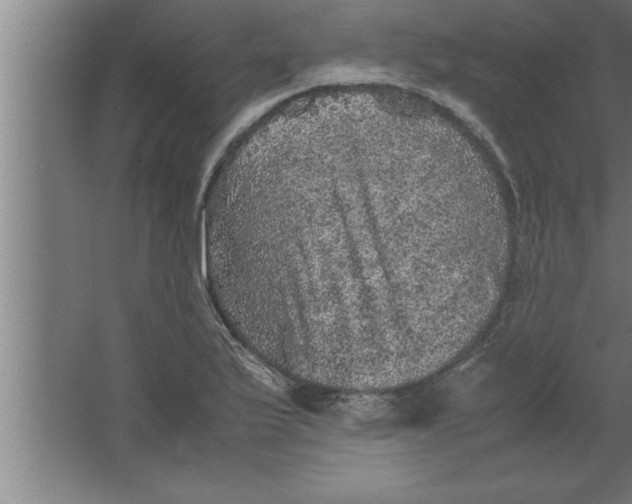 X0000067461175200604281820