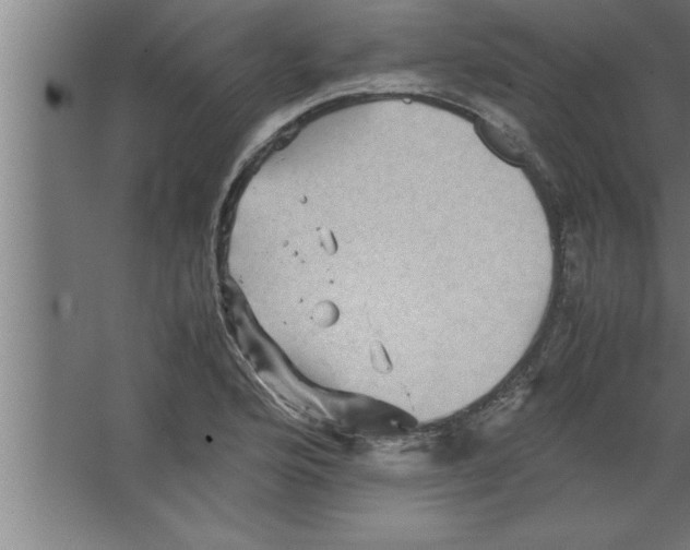 X0000067461176200604281820