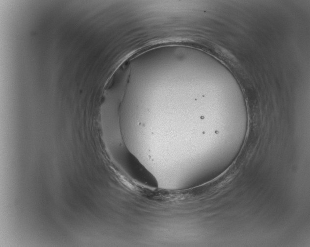 X0000067461177200604281820