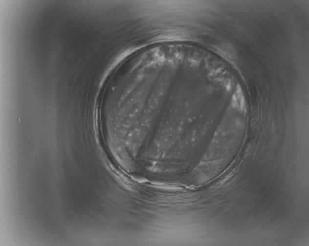 X0000067461179200604281820