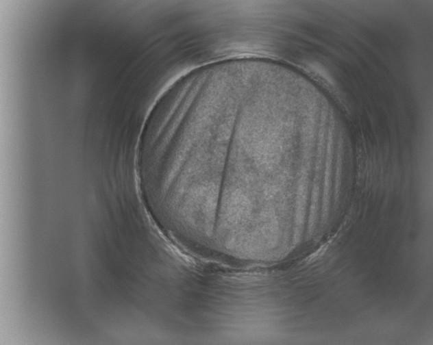 X0000067461182200604281820