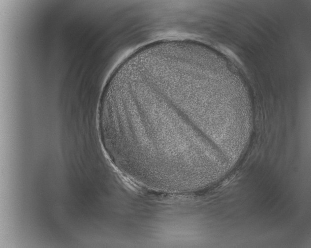 X0000067461183200604281820