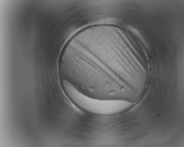 X0000067461184200604281820