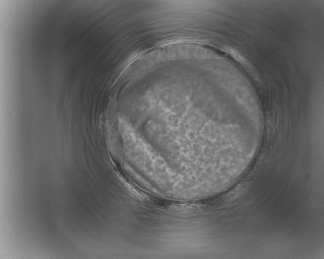 X0000067461185200604281820