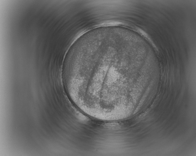 X0000067461186200604281820