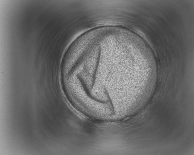 X0000067461187200604281820