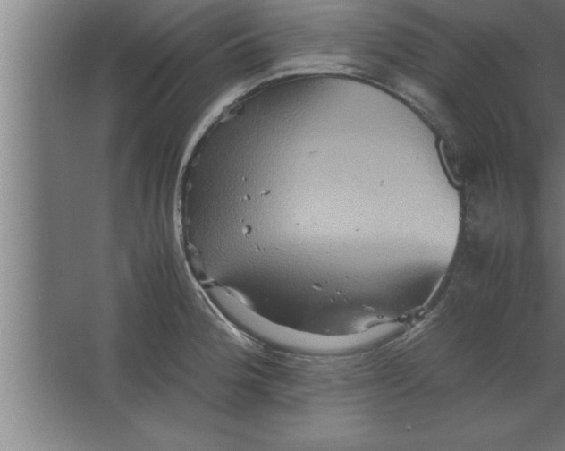 X0000067461188200604281820