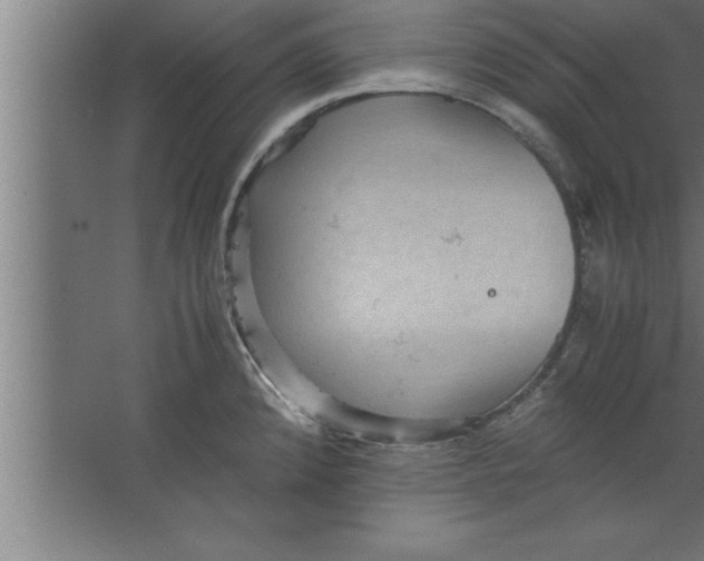 X0000067461192200604281820