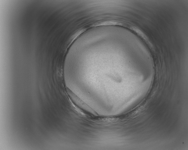 X0000067461193200604281820