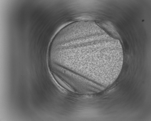 X0000067461195200604281820