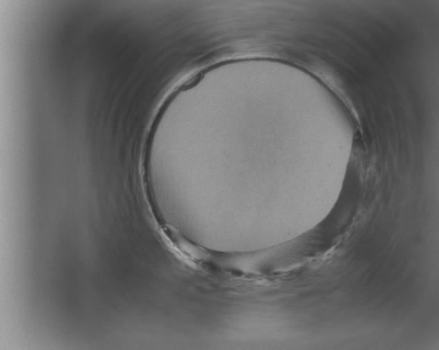 X0000067461197200604281820