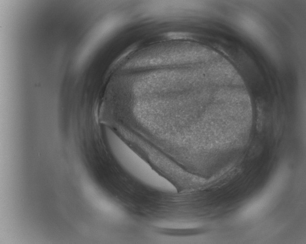 X0000067461198200604281820