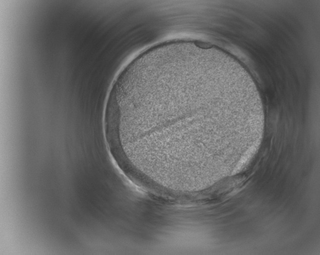 X0000067461199200604281820