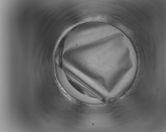 X0000067461200200604281820