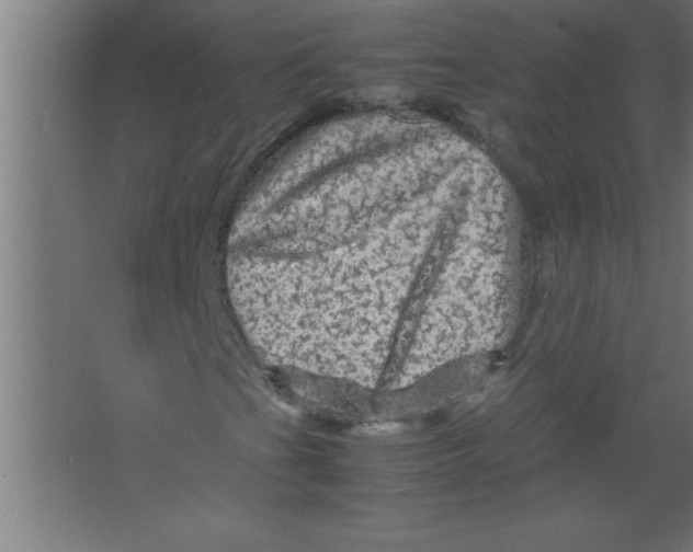 X0000067461201200604281819