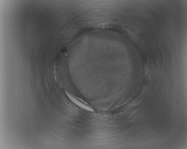 X0000067461202200604281819