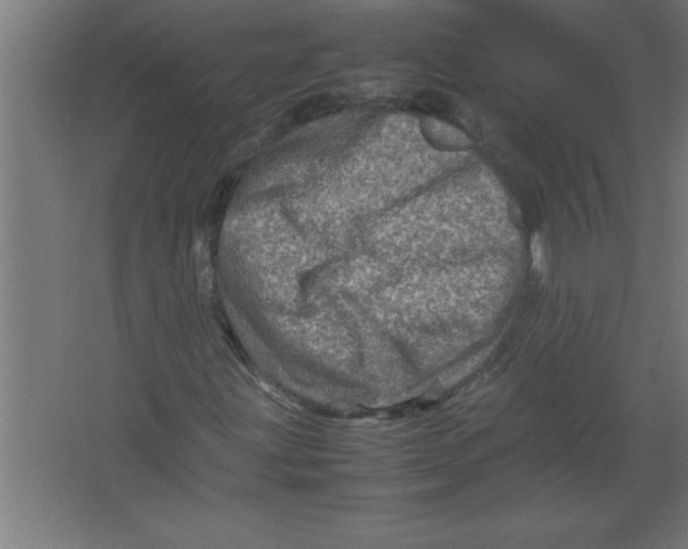 X0000067461203200604281819