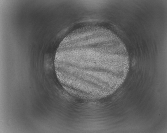 X0000067461204200604281819