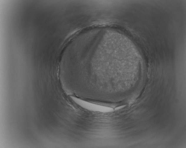 X0000067461206200604281819