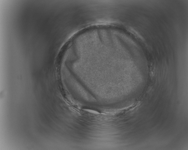 X0000067461208200604281819