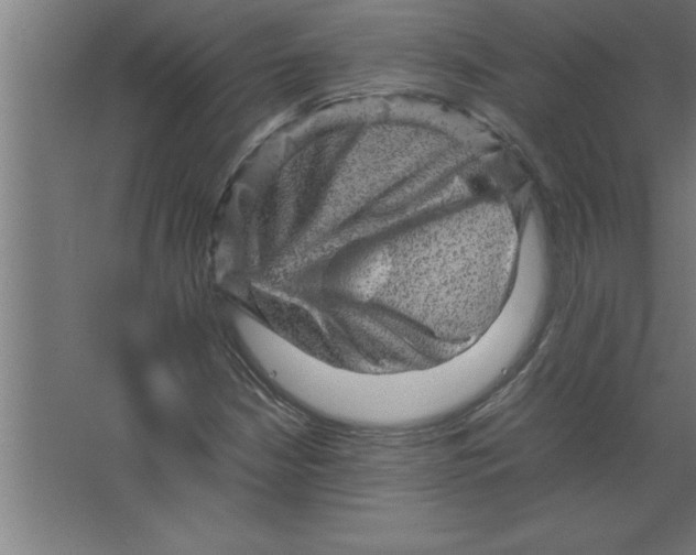 X0000067461210200604281819