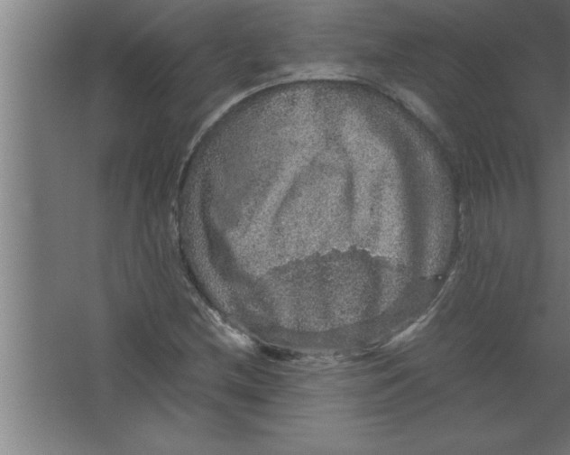 X0000067461212200604281819