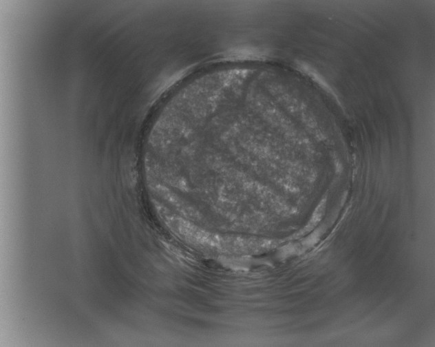 X0000067461213200604281819