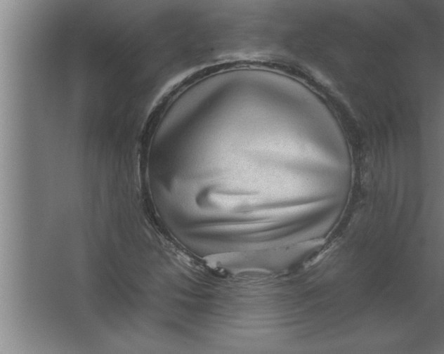 X0000067461214200604281819