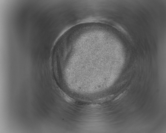 X0000067461216200604281819