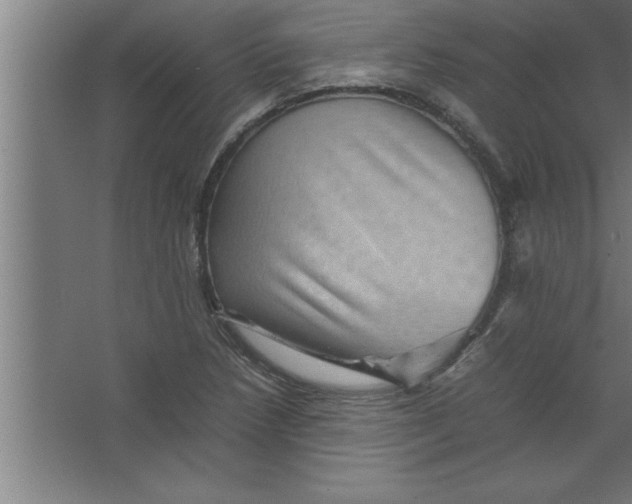 X0000067461218200604281819