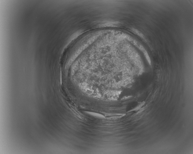 X0000067461219200604281819