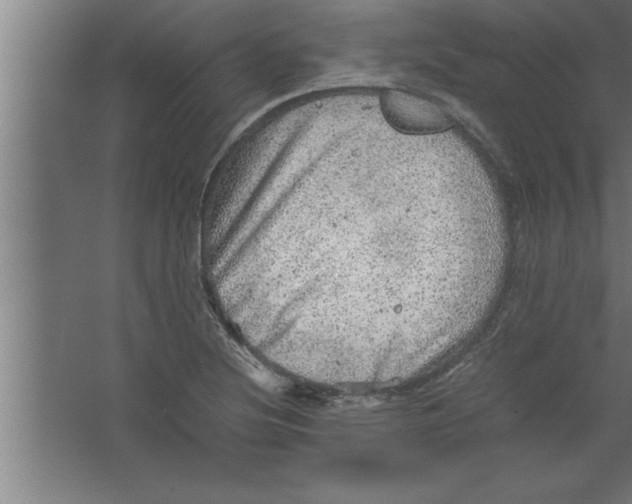 X0000067461220200604281819