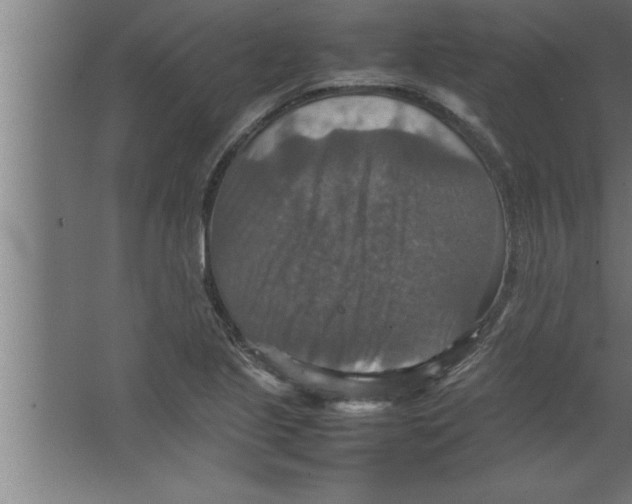 X0000067461221200604281819