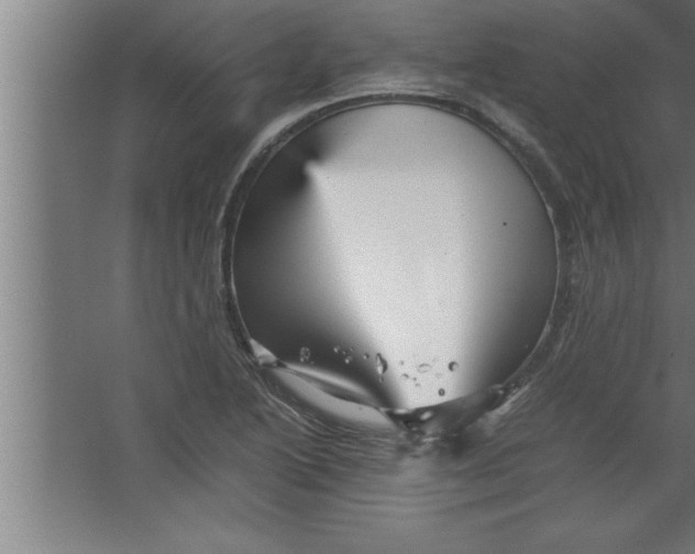 X0000067461222200604281819