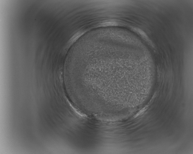 X0000067461225200604281819