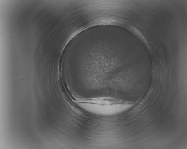 X0000067461226200604281819