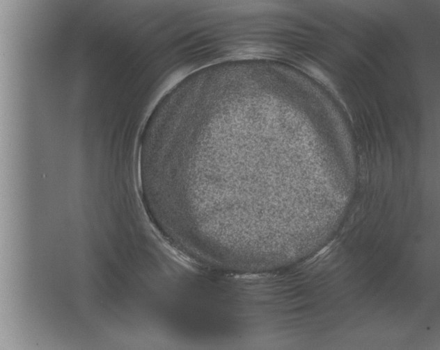 X0000067461227200604281819