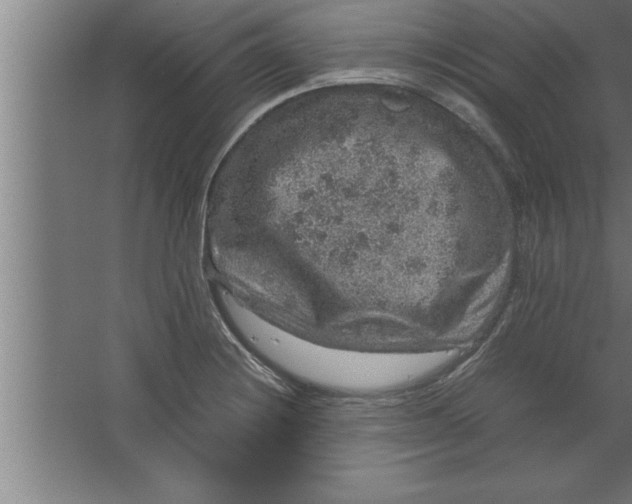 X0000067461228200604281819