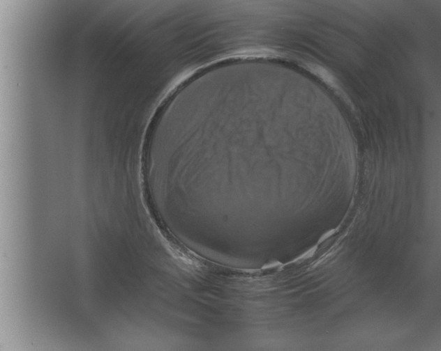 X0000067461229200604281819