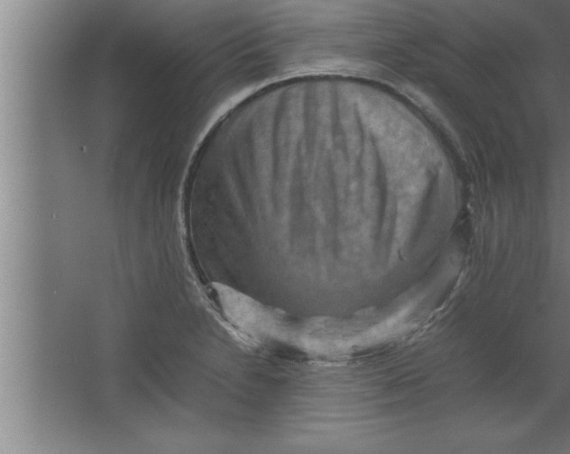 X0000067461230200604281819