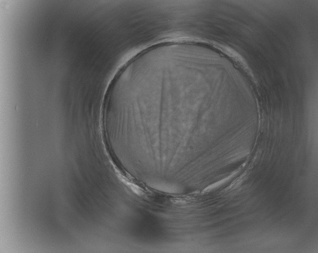 X0000067461231200604281820