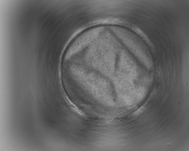 X0000067461232200604281820