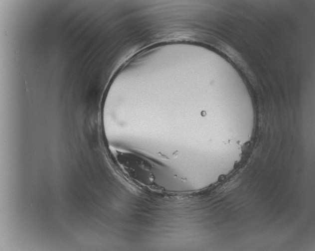 X0000067461234200604281820