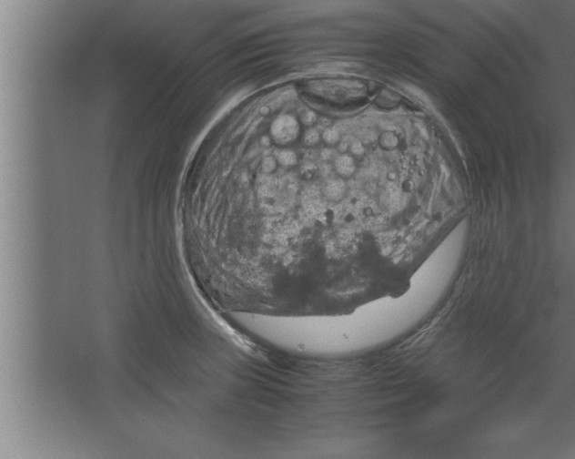 X0000067461235200604281820