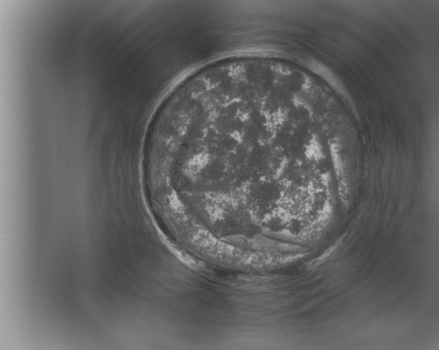 X0000067461237200604281820