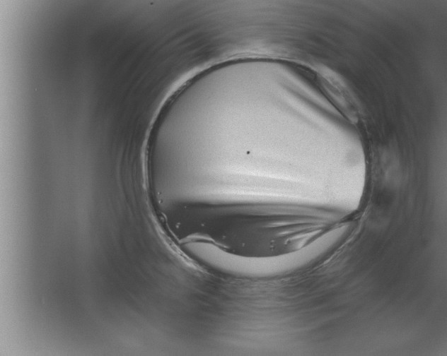 X0000067461238200604281820