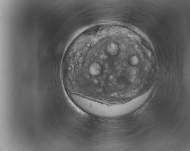 X0000067461239200604281820