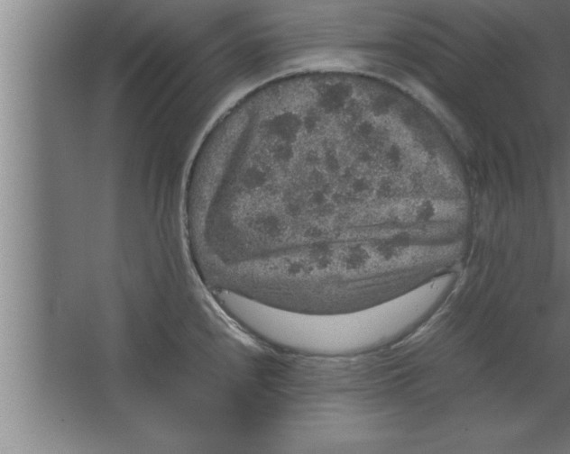 X0000067461240200604281820