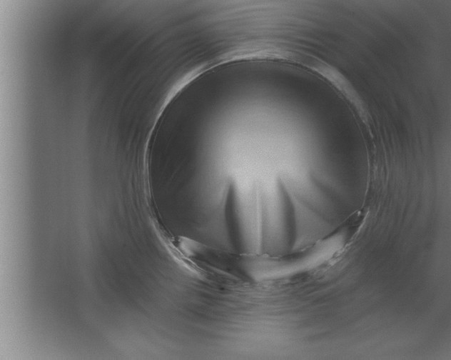 X0000067461242200604281820