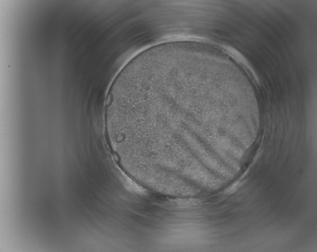 X0000067461244200604281820